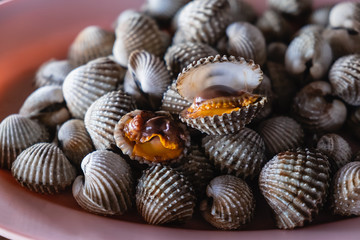 boiled cockles with tasty sauce in the dish