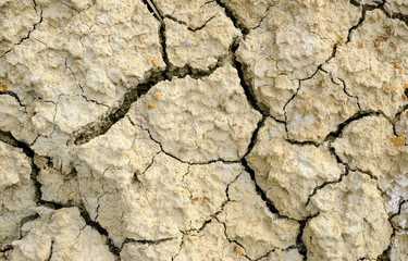 Dry cracked earth texture