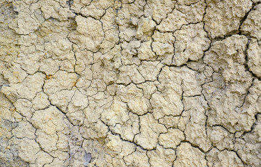 Dry cracked earth texture