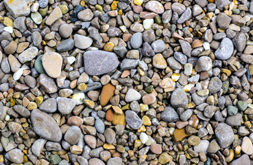 Wet stones on the sea coast