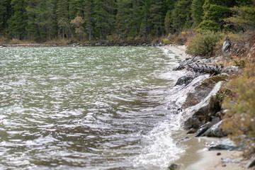 Mountain lake in spruce forest on a background of blue sky