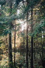 Love story of beautiful young couple at nature