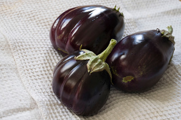 Three rape eggplants are laying on the white background. Autumn vegetables. Delicious and healthy food