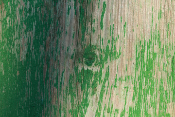 wooden texture background