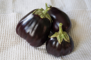 Three rape eggplants are laying on the white background. Autumn vegetables. Delicious and healthy food