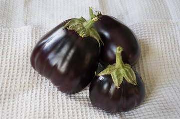 Three rape eggplants are laying on the white background. Autumn vegetables. Delicious and healthy food