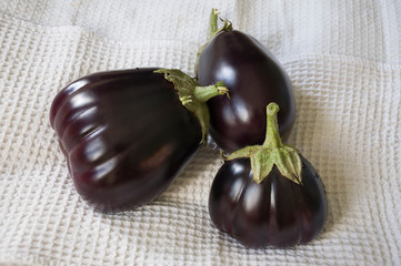 Three rape eggplants are laying on the white background. Autumn vegetables. Delicious and healthy food