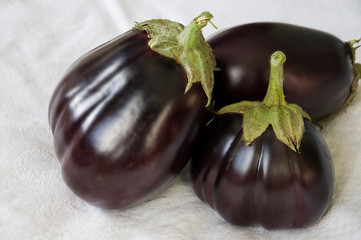 Three rape eggplants are laying on the white background. Autumn vegetables. Delicious and healthy food