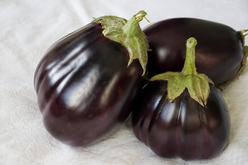 Three rape eggplants are laying on the white background. Autumn vegetables. Delicious and healthy food