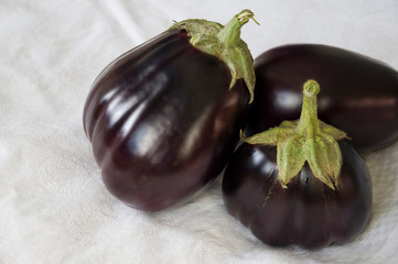 Three rape eggplants are laying on the white background. Autumn vegetables. Delicious and healthy...