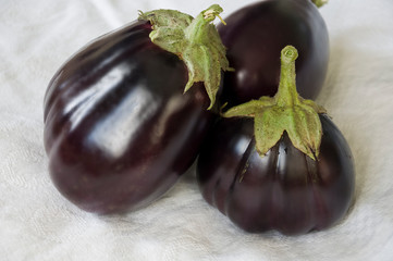 Three rape eggplants are laying on the white background. Autumn vegetables. Delicious and healthy food