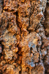 wooden texture background