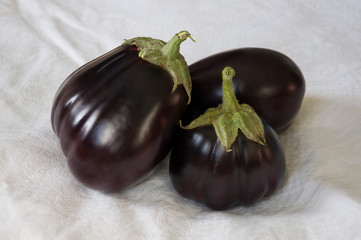 Three rape eggplants are laying on the white background. Autumn vegetables. Delicious and healthy food