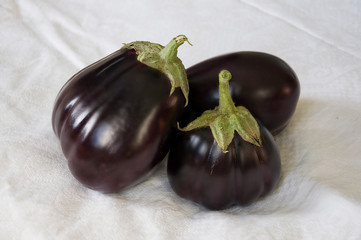 Three rape eggplants are laying on the white background. Autumn vegetables. Delicious and healthy food