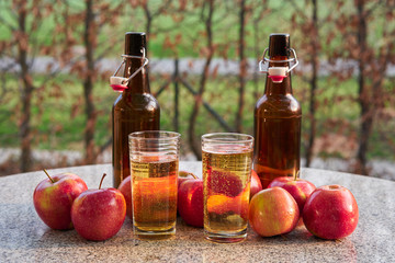 Still life picture on two glasses or jars full of organic sparkling apple cider and two rustic bottles, red riped apples on stone table around in the garden restaurant during summer sunny evening.