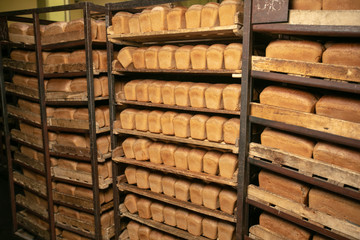A lot of ready-made fresh bread in a bakery oven in a bakery. Bread making business. Fresh bread from cereals with seeds from a bakery. Healthy and nutritious food. The product contains carbohydrates.