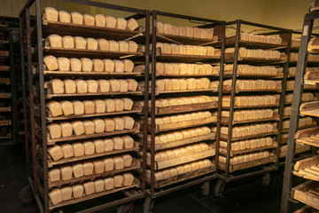 A lot of ready-made fresh bread in a bakery oven in a bakery. Bread making business. Fresh bread from cereals with seeds from a bakery. Healthy and nutritious food. The product contains carbohydrates.