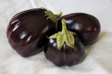 Three rape eggplants are laying on the white background. Autumn vegetables. Delicious and healthy...