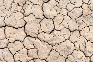Soil drought cracks texture white background for design