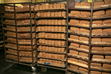 A lot of ready-made fresh bread in a bakery oven in a bakery. Bread making business. Fresh bread from cereals with seeds from a bakery. Healthy and nutritious food. The product contains carbohydrates.