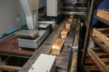 Manufacture of bread. Conveyor with dough. Capacity of the dough. Kneading dough at the bakery. Workshop of the manufacture dough.
