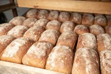 bread bakery food factory production with fresh products