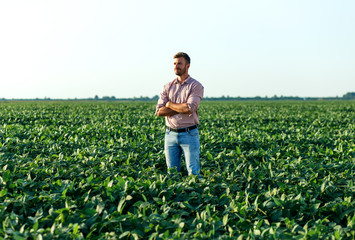 Portrait of young farmer standing in filed examining soybean corp.