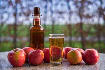 Rustic bottle and glass of fresh sparkling apple cider and red riped apples on the stone granit table in the garden restaurant during spring sunny evening, Picture taken in golden hour before sunset.
