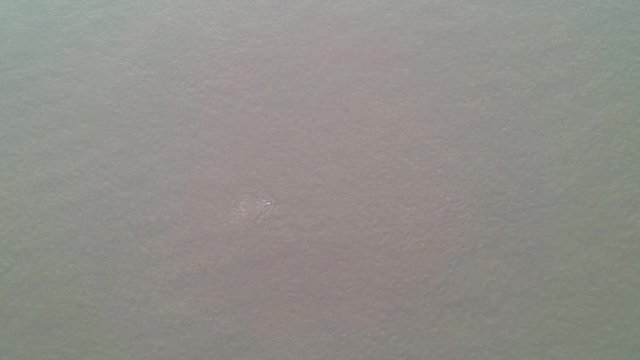 Luftaufnahme des Mekong Flusses mit vom aussterben bedrohten Flussdelfinen