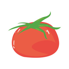tomato vegetable icon
