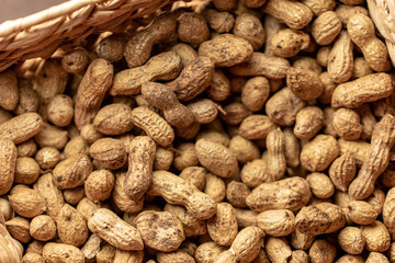 The fresh peanuts harvested in the fall are in the paper basket