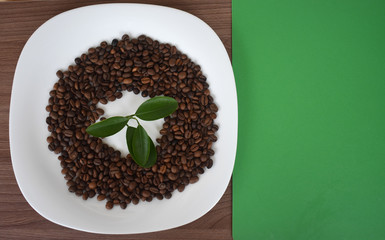White dish with grains on a green background.