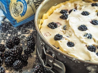 cake with fresh blackberries