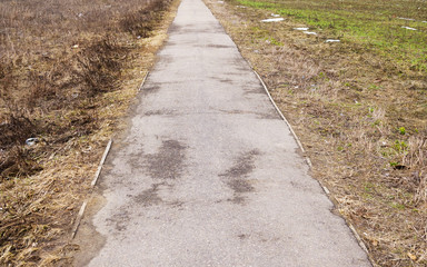 road in the park