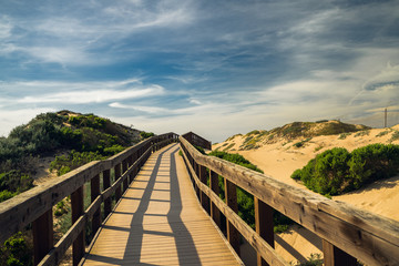 Fototapeta na wymiar Rustic Wood Beach Boardwalk through Sand Dunes, Oso Flaco Lake Natural Area State Park, California