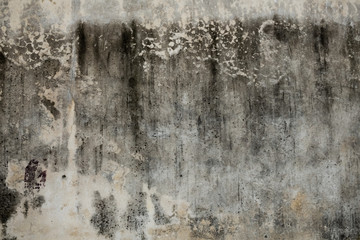 Texture of old plaster.