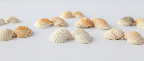 Shells