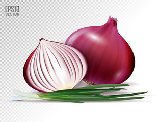 Vector fresh whole and half red onion bulbs with green onions close up isolated on transparent background. Realistic vector, 3d illustration