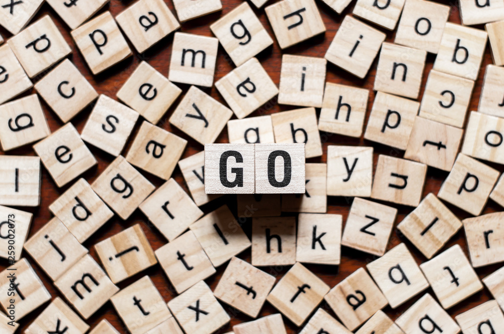 Wall mural go programming language word concept
