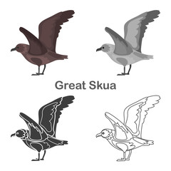 Great skua color flat, simple, line, black and white concept icons set