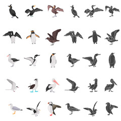 Different sea birds color flat, simple concept icons set