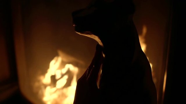 Stands against the background of the fire statuette in the form of a wild cat, which strokes the female hand, close-up.