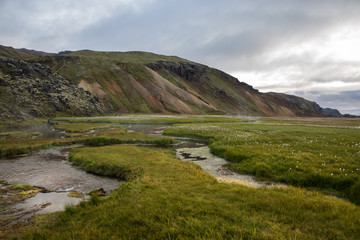 Fototapeta na wymiar Hot springs in Landmannalaugar National Park Iceland