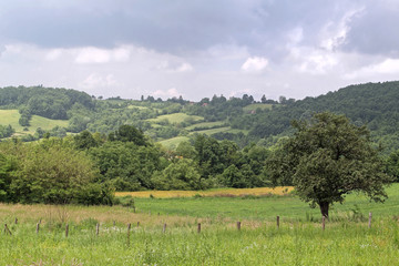 Rural Green Nature