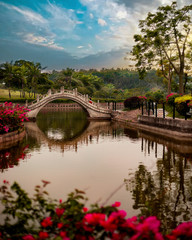 bright nature in the Asian Park with a moon bridge