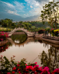 Fototapeta na wymiar bright nature in the Asian Park with a moon bridge