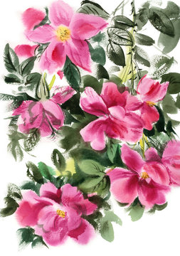 pink rose branch