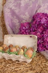 Fototapeta na wymiar easter eggs painted hay lilac background