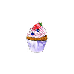 Hand drawn watercolor isolated cupcake with strawberry and blueberry