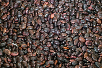 dry phaseolus kidney bean texture